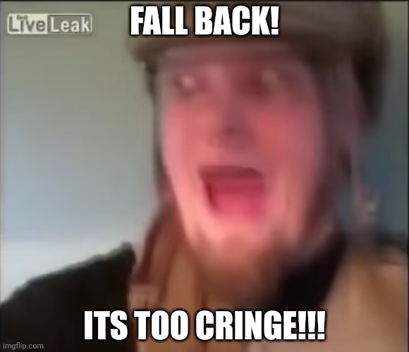 Fall Back! | FALL BACK! ITS TOO CRINGE!!! | image tagged in fall back | made w/ Imgflip meme maker