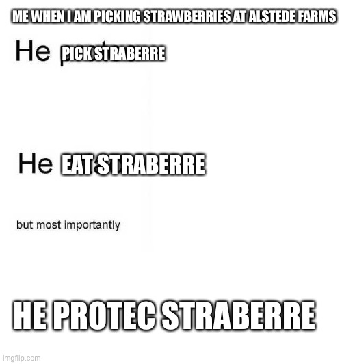 He protec he attac but most importantly | ME WHEN I AM PICKING STRAWBERRIES AT ALSTEDE FARMS; PICK STRABERRE; EAT STRABERRE; HE PROTEC STRABERRE | image tagged in he protec he attac but most importantly | made w/ Imgflip meme maker