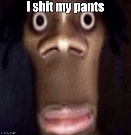 Quandale dingle | I shit my pants | image tagged in quandale dingle | made w/ Imgflip meme maker