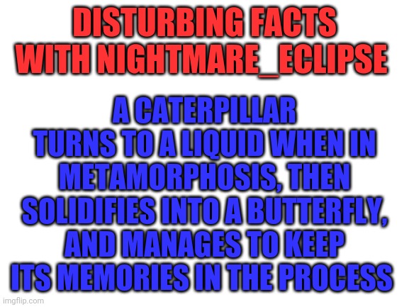 I basically killed myself figuring this out | DISTURBING FACTS WITH NIGHTMARE_ECLIPSE; A CATERPILLAR TURNS TO A LIQUID WHEN IN METAMORPHOSIS, THEN SOLIDIFIES INTO A BUTTERFLY, AND MANAGES TO KEEP ITS MEMORIES IN THE PROCESS | image tagged in blank white template | made w/ Imgflip meme maker