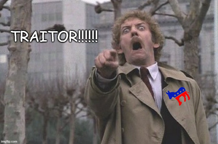Body Snatchers Scream | TRAITOR!!!!!! | image tagged in body snatchers scream | made w/ Imgflip meme maker