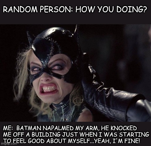 Yeah, I'm Fine! | RANDOM PERSON: HOW YOU DOING? ME:  BATMAN NAPALMED MY ARM, HE KNOCKED ME OFF A BUILDING JUST WHEN I WAS STARTING TO FEEL GOOD ABOUT MYSELF...YEAH, I'M FINE! | image tagged in catwoman,fine not fine,funny | made w/ Imgflip meme maker