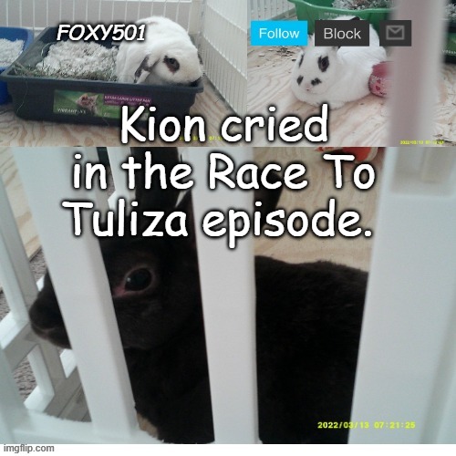 Foxy501 announcement template | Kion cried in the Race To Tuliza episode. | image tagged in foxy501 announcement template,true | made w/ Imgflip meme maker