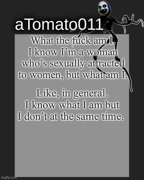 I swear if people say, “An idiot sandwich.” |  What the fuck am I. I know I’m a woman who’s sexually attracted to women, but what am I. Like, in general. I know what I am but I don’t at the same time. | image tagged in atomato011's template | made w/ Imgflip meme maker