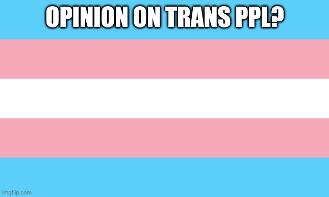 Trans Flag | OPINION ON TRANS PPL? | image tagged in trans flag | made w/ Imgflip meme maker