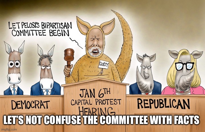 Kakistocracy kangaroo | LET’S NOT CONFUSE THE COMMITTEE WITH FACTS | image tagged in kangaroo democrats,memes,happy,funny | made w/ Imgflip meme maker