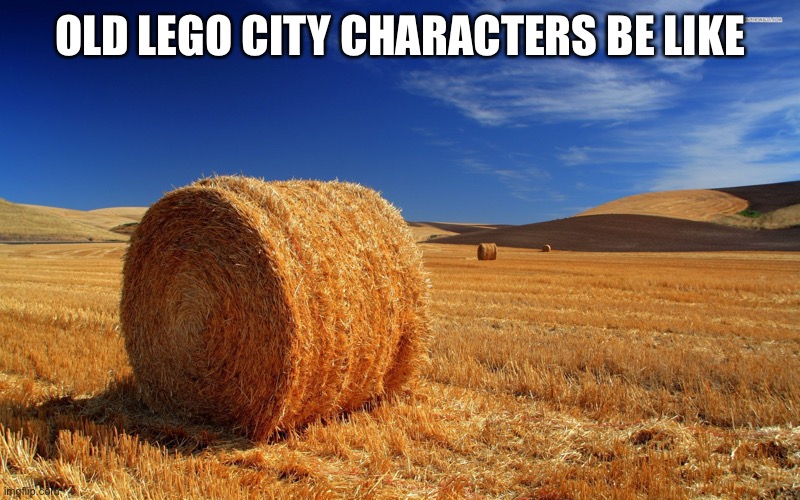 Hay | OLD LEGO CITY CHARACTERS BE LIKE | image tagged in haystack field,hey,lego,memes | made w/ Imgflip meme maker