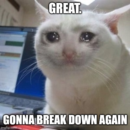 Crying cat | GREAT. GONNA BREAK DOWN AGAIN | image tagged in crying cat | made w/ Imgflip meme maker