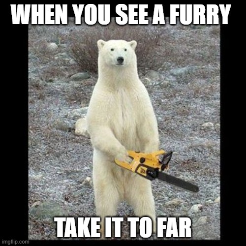 I don't not like them, it's when they take it to far. |  WHEN YOU SEE A FURRY; TAKE IT TO FAR | image tagged in memes,chainsaw bear | made w/ Imgflip meme maker