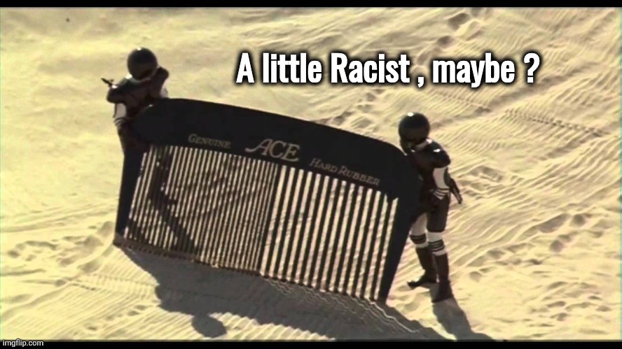 Spaceballs Desert Comb | A little Racist , maybe ? | image tagged in spaceballs desert comb | made w/ Imgflip meme maker