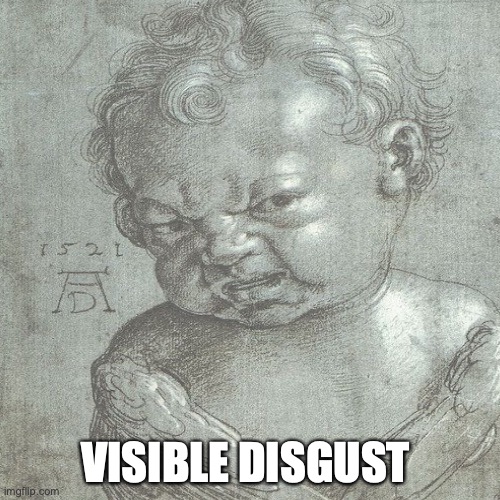 VISIBLE DISGUST | made w/ Imgflip meme maker