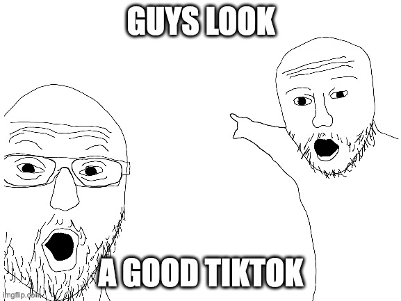 no good tiktoks | GUYS LOOK; A GOOD TIKTOK | made w/ Imgflip meme maker