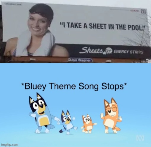*Bluey Theme Song Stops* | image tagged in bluey theme song stops,bluey,signs/billboards | made w/ Imgflip meme maker