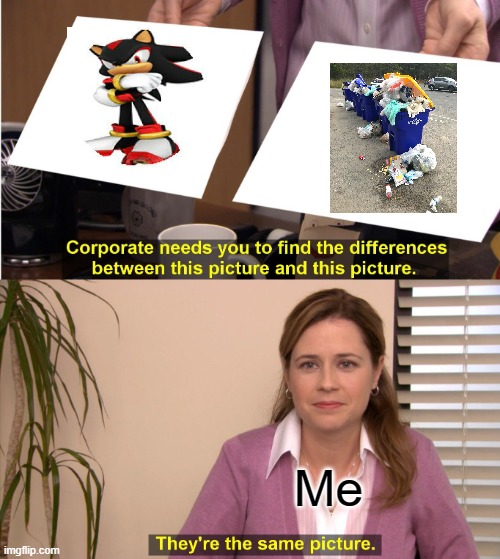 True facts | Me | image tagged in memes,they're the same picture | made w/ Imgflip meme maker