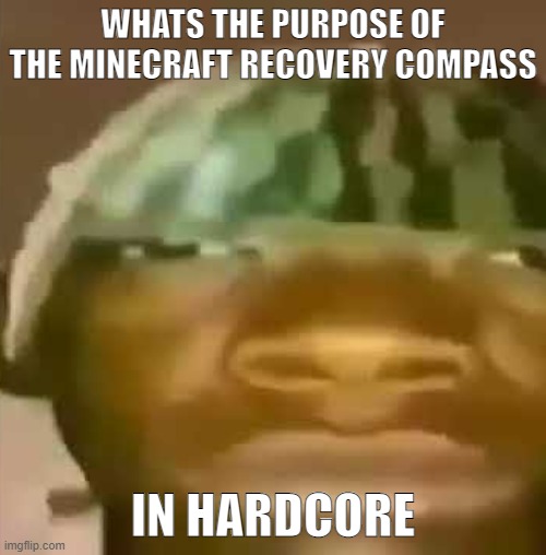 shitpost | WHATS THE PURPOSE OF THE MINECRAFT RECOVERY COMPASS; IN HARDCORE | image tagged in shitpost | made w/ Imgflip meme maker