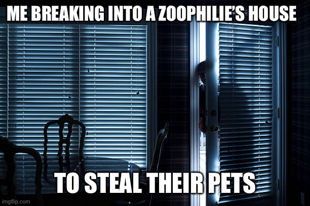 Breaking into zoophile‘s house | ME BREAKING INTO A ZOOPHILIE’S HOUSE; TO STEAL THEIR PETS | image tagged in pride month | made w/ Imgflip meme maker