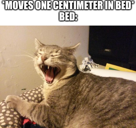 I swear it sounds like I'm f%cking | *MOVES ONE CENTIMETER IN BED*
BED: | image tagged in cat screaming | made w/ Imgflip meme maker