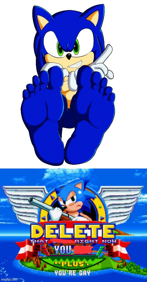 Bruh | image tagged in sonic's feet,sonic holding a shotgun to tell you to delete | made w/ Imgflip meme maker