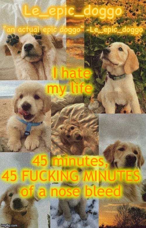  I hate my life; 45 minutes, 45 FUCKING MINUTES of a nose bleed | image tagged in doggo temp by doggo wait what that s confusing | made w/ Imgflip meme maker