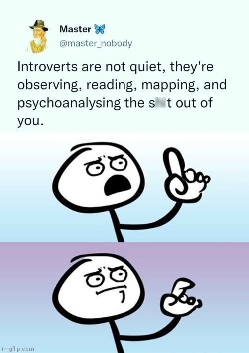 As an introvert I can say this is true | image tagged in can't argue with that / technically not wrong,introvert,so true memes,truth | made w/ Imgflip meme maker