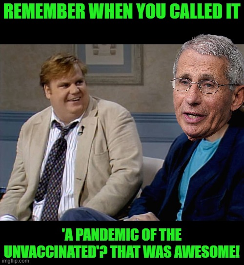 Remember that time | REMEMBER WHEN YOU CALLED IT 'A PANDEMIC OF THE UNVACCINATED'? THAT WAS AWESOME! | image tagged in remember that time | made w/ Imgflip meme maker