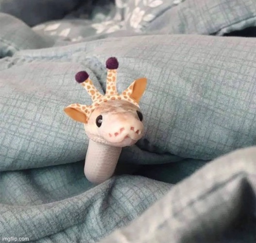 Shut up and look at this cute giraffe! | image tagged in giraffe,effarig,snake,ekans | made w/ Imgflip meme maker