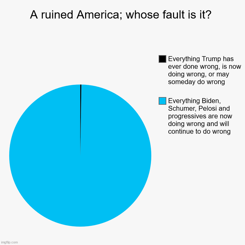 A ruined America; whose fault is it? | A ruined America; whose fault is it? | Everything Biden, Schumer, Pelosi and progressives are now doing wrong and will continue to do wrong, | image tagged in charts,pie charts,trump,biden,pelosi | made w/ Imgflip chart maker