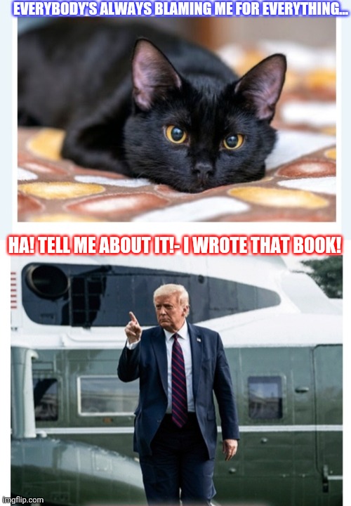 Black Cat Moan | EVERYBODY'S ALWAYS BLAMING ME FOR EVERYTHING... HA! TELL ME ABOUT IT!- I WROTE THAT BOOK! | image tagged in bad luck brian,oh no black cat,good luck,president trump | made w/ Imgflip meme maker
