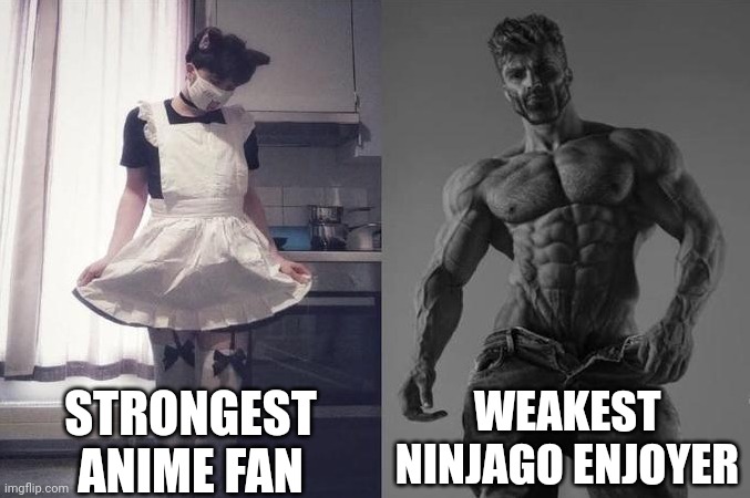 Plz comment,I would appreciate that | STRONGEST ANIME FAN; WEAKEST NINJAGO ENJOYER | image tagged in strongest fan vs weakest fan,ninjago,memes | made w/ Imgflip meme maker