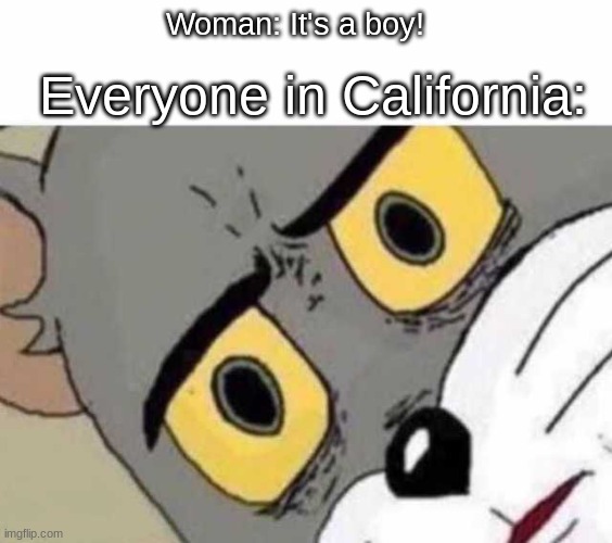 oh no | Everyone in California:; Woman: It's a boy! | image tagged in tom cat unsettled close up | made w/ Imgflip meme maker