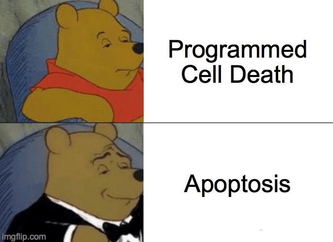 Tuxedo Winnie The Pooh | Programmed Cell Death; Apoptosis | image tagged in memes,tuxedo winnie the pooh | made w/ Imgflip meme maker