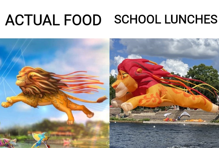 School lunches are horrible | SCHOOL LUNCHES; ACTUAL FOOD | image tagged in school,school meme,lion king,disney,uncanny,meme | made w/ Imgflip meme maker
