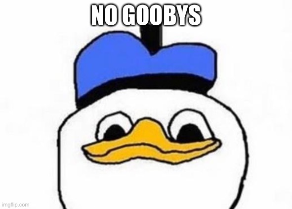 gooby | NO GOOBYS | image tagged in dolan | made w/ Imgflip meme maker