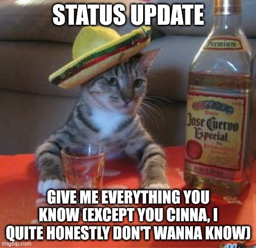 Mexican Cat | STATUS UPDATE; GIVE ME EVERYTHING YOU KNOW (EXCEPT YOU CINNA, I QUITE HONESTLY DON'T WANNA KNOW) | image tagged in mexican cat | made w/ Imgflip meme maker