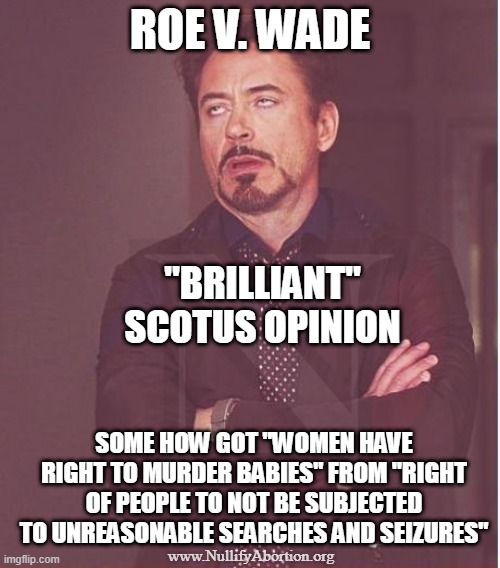 Roe V. Wade - Absolutely brilliant | ROE V. WADE; "BRILLIANT" SCOTUS OPINION; SOME HOW GOT "WOMEN HAVE RIGHT TO MURDER BABIES" FROM "RIGHT OF PEOPLE TO NOT BE SUBJECTED TO UNREASONABLE SEARCHES AND SEIZURES"; www.NullifyAbortion.org | image tagged in robert downey jr annoyed,abortion is murder,abortion,prolife,abolish abortion | made w/ Imgflip meme maker