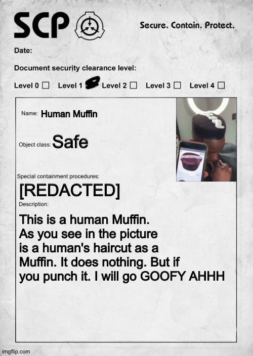 SCP document | Human Muffin; Safe; [REDACTED]; This is a human Muffin. As you see in the picture is a human's haircut as a Muffin. It does nothing. But if you punch it. I will go GOOFY AHHH | image tagged in scp document | made w/ Imgflip meme maker