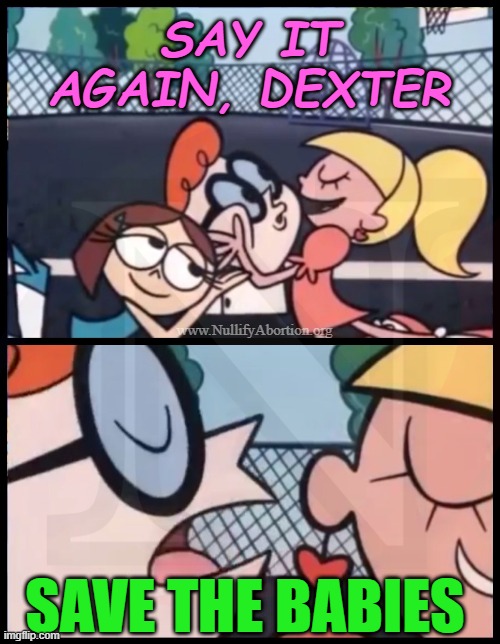 SAVE THE BABIES! | SAY IT AGAIN, DEXTER; www.NullifyAbortion.org; SAVE THE BABIES | image tagged in say it again dexter,meme,pro-life,wholesome,prolife,cute | made w/ Imgflip meme maker