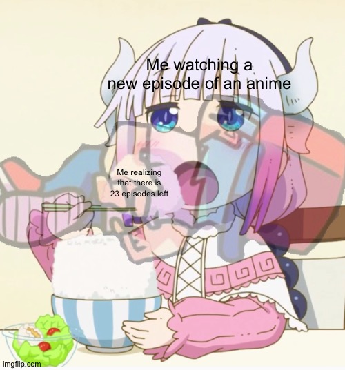 Kanna Eating Rice | Me watching a new episode of an anime; Me realizing that there is 23 episodes left | image tagged in kanna eating rice | made w/ Imgflip meme maker