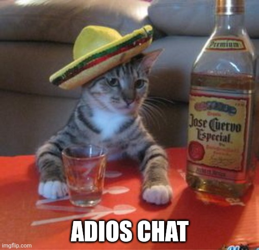 Mexican Cat | ADIOS CHAT | image tagged in mexican cat | made w/ Imgflip meme maker