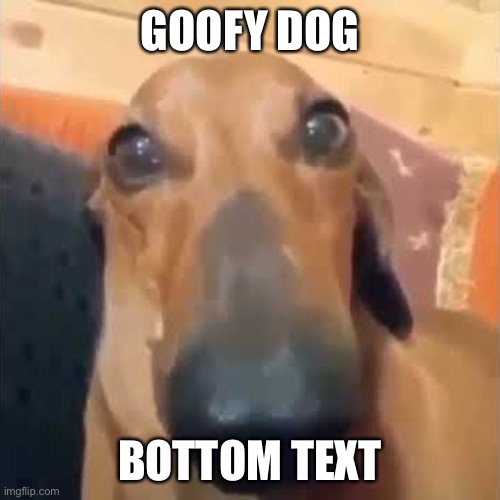 Here he comes | GOOFY DOG; BOTTOM TEXT | made w/ Imgflip meme maker