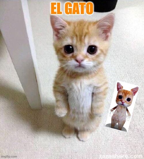 el gato finds his twin | EL GATO | image tagged in memes,cute cat,el gato | made w/ Imgflip meme maker
