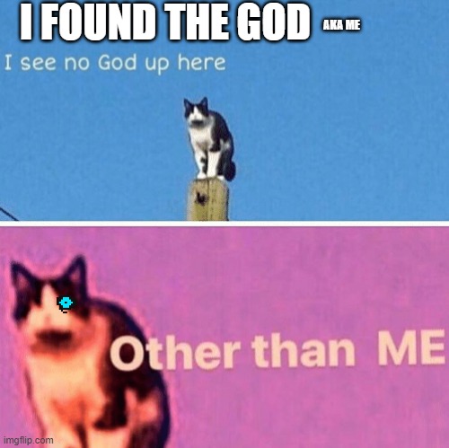 cat found the god | I FOUND THE GOD; AKA ME | image tagged in hail pole cat,god | made w/ Imgflip meme maker