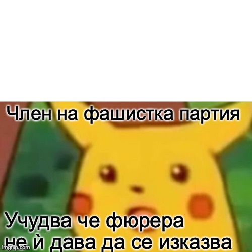 Surprised Pikachu Meme | Член на фашистка партия; Учудва че фюрера не ѝ дава да се изказва | image tagged in memes,surprised pikachu | made w/ Imgflip meme maker