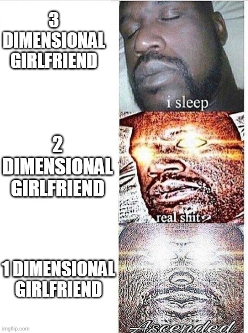 I sleep meme with ascended template | 3 DIMENSIONAL GIRLFRIEND; 2 DIMENSIONAL GIRLFRIEND; 1 DIMENSIONAL GIRLFRIEND | image tagged in i sleep meme with ascended template | made w/ Imgflip meme maker