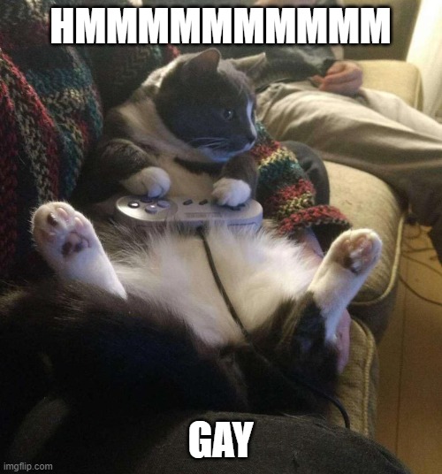 SNES CAT | HMMMMMMMMMM GAY | image tagged in snes cat | made w/ Imgflip meme maker