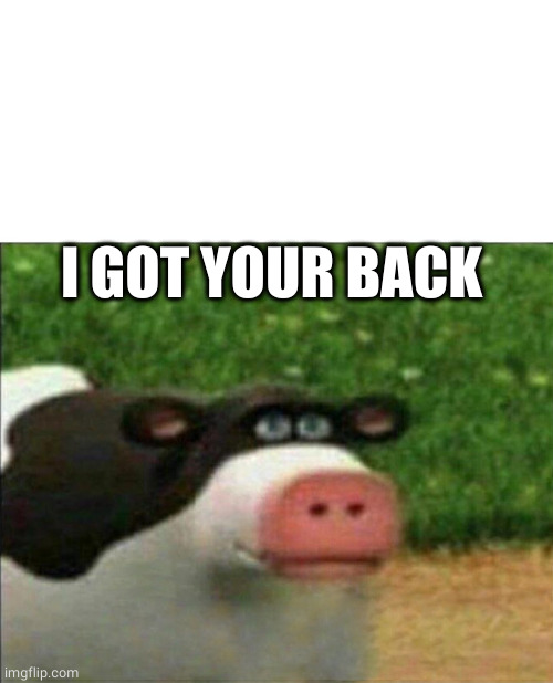 Perhaps cow | I GOT YOUR BACK | image tagged in perhaps cow | made w/ Imgflip meme maker