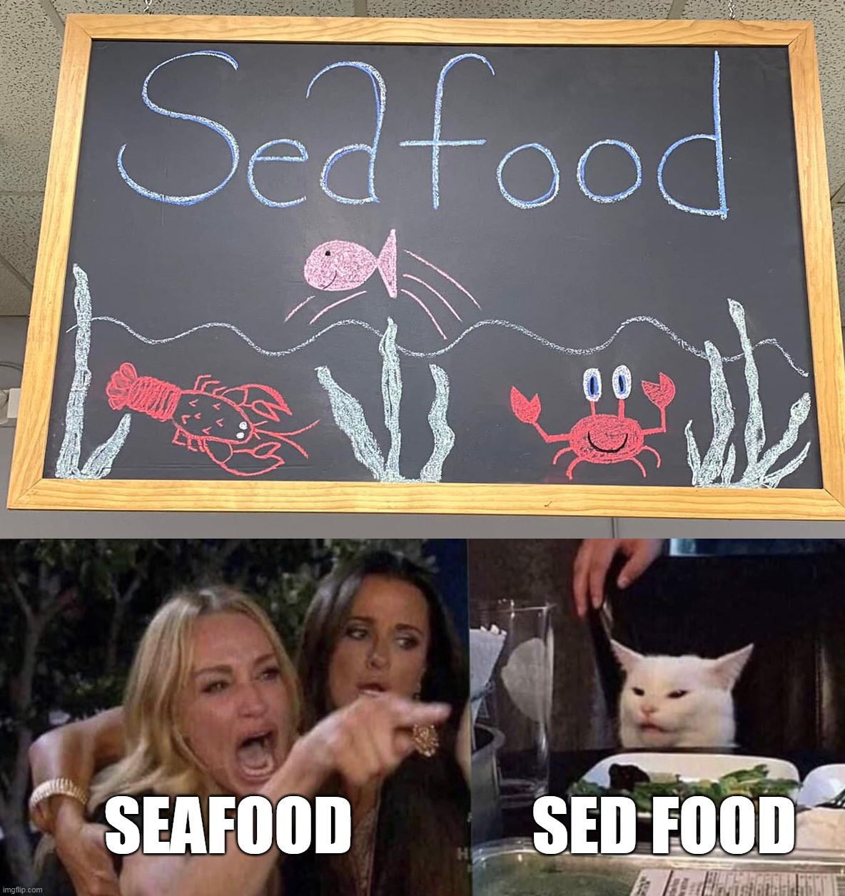 SEAFOOD; SED FOOD | image tagged in woman yelling at cat,meme,memes,humor,signs | made w/ Imgflip meme maker