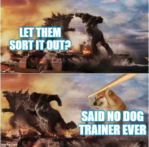 Let dogs sort it out | LET THEM SORT IT OUT? SAID NO DOG TRAINER EVER | image tagged in kong godzilla doge,dog fight,dog training,dog training advice | made w/ Imgflip meme maker