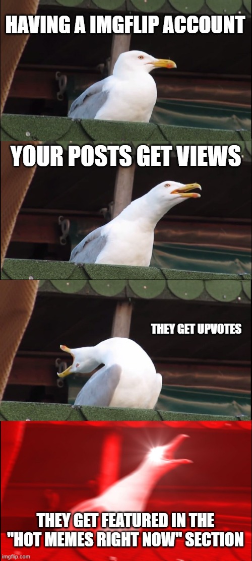 A Meme Maker's Dream | HAVING A IMGFLIP ACCOUNT; YOUR POSTS GET VIEWS; THEY GET UPVOTES; THEY GET FEATURED IN THE "HOT MEMES RIGHT NOW" SECTION | image tagged in memes,inhaling seagull | made w/ Imgflip meme maker