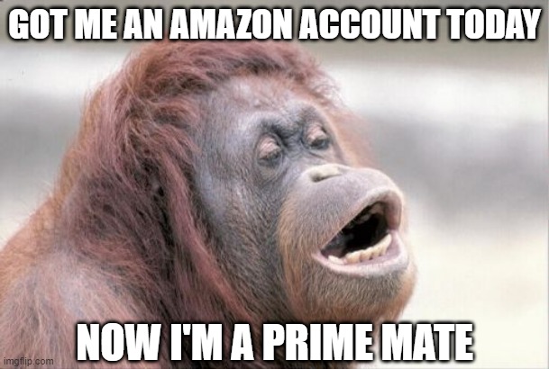 Ordering Time | GOT ME AN AMAZON ACCOUNT TODAY; NOW I'M A PRIME MATE | image tagged in memes,monkey ooh | made w/ Imgflip meme maker